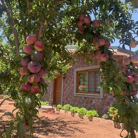 아파트호텔 Doga Ciftlik