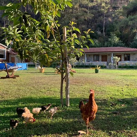 Doga Ciftlik 아파트호텔 3*