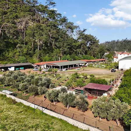 Doga Ciftlik 3* 말마리스