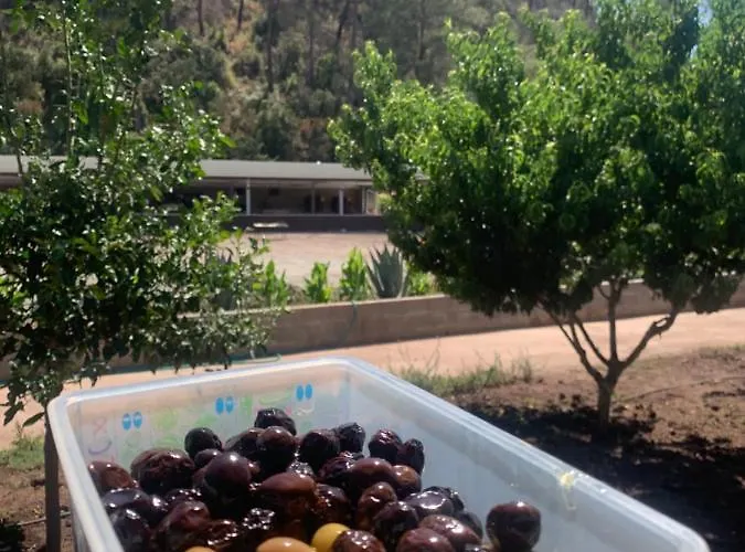 Doga Ciftlik Hotel apartamentowy Marmaris