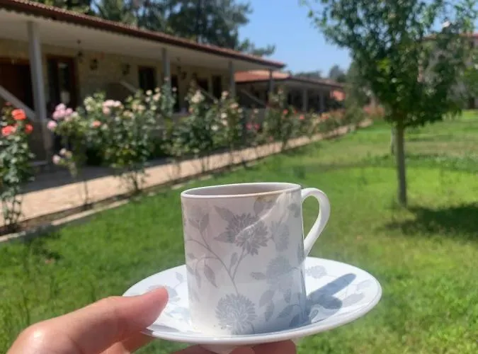 Hotel apartamentowy Doga Ciftlik