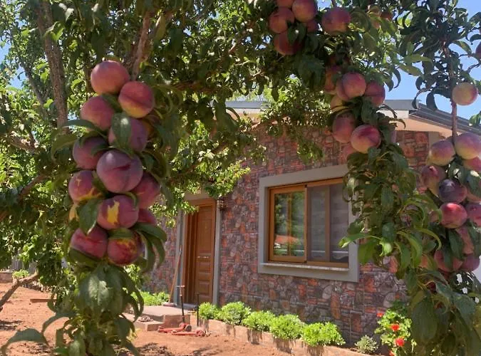 Hotel apartamentowy Doga Ciftlik