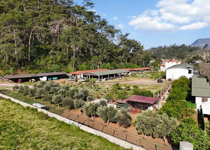 Doga Ciftlik 3* Marmaris