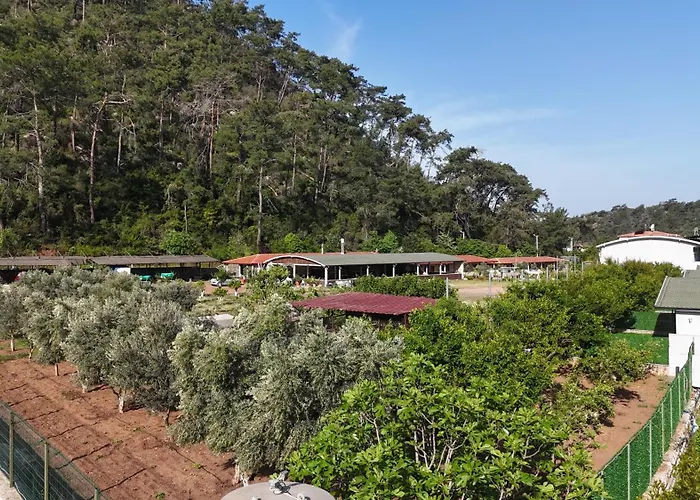 Hotel apartamentowy Doga Ciftlik 3*