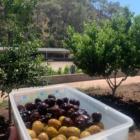 Doga Ciftlik Aparthotel Marmaris