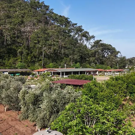 Apart-hotel Doga Ciftlik 3*