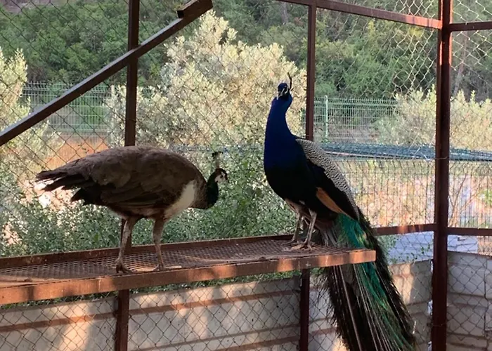 Doga Ciftlik Marmaris