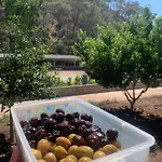 Doga Ciftlik Aparthotel Marmaris