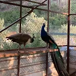 Doga Ciftlik Marmaris